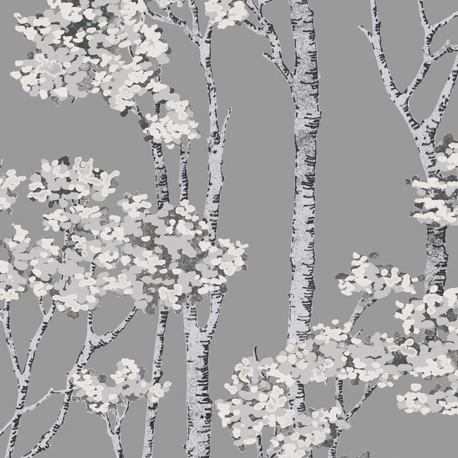 Birch Grove Peel & Stick Wallpaper Peel and Stick Wallpaper RoomMates Roll Grey 