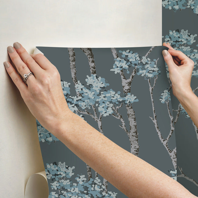 Birch Grove Peel & Stick Wallpaper Peel and Stick Wallpaper RoomMates   