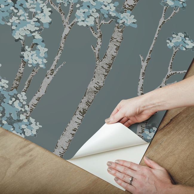 Birch Grove Peel & Stick Wallpaper Peel and Stick Wallpaper RoomMates   