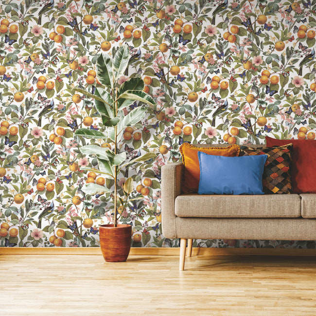 Citrus Peel and Stick Wallpaper Peel and Stick Wallpaper RoomMates   