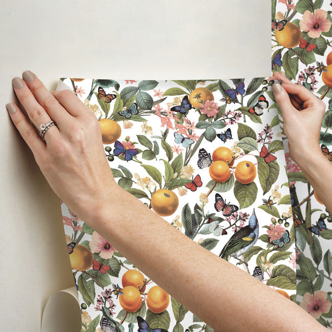 Citrus Peel and Stick Wallpaper Peel and Stick Wallpaper RoomMates   