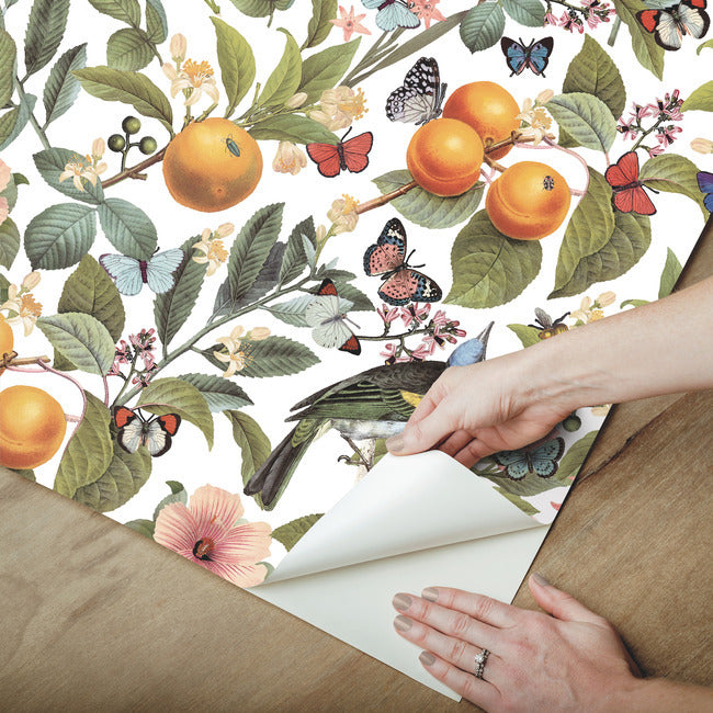 Citrus Peel and Stick Wallpaper Peel and Stick Wallpaper RoomMates   