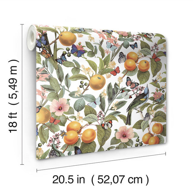 Citrus Peel and Stick Wallpaper Peel and Stick Wallpaper RoomMates   