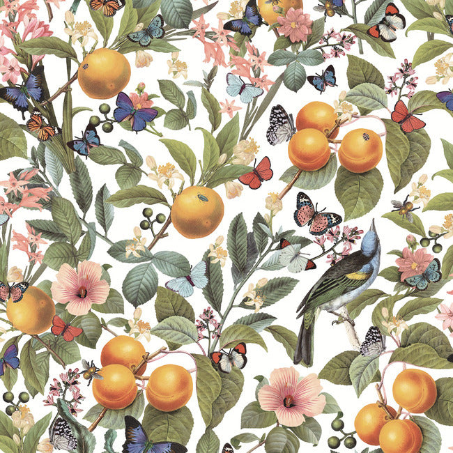 Citrus Peel and Stick Wallpaper Peel and Stick Wallpaper RoomMates Roll White 