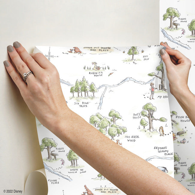 Winnie The Pooh 100 Acre Wood Map Peel And Stick Wallpaper Peel and Stick Wallpaper RoomMates   