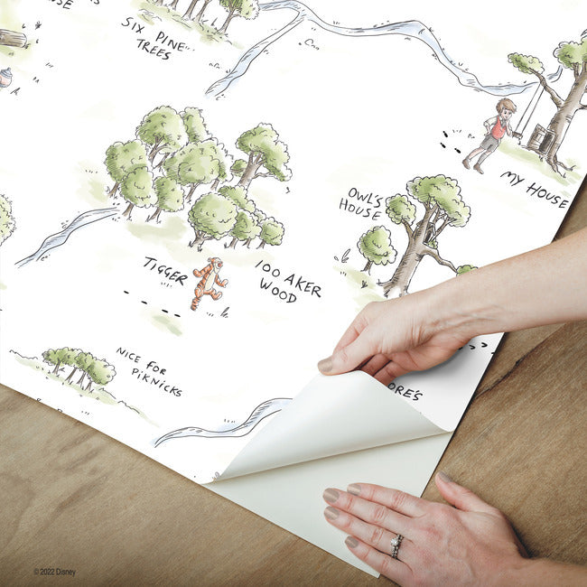 Winnie The Pooh 100 Acre Wood Map Peel And Stick Wallpaper Peel and Stick Wallpaper RoomMates   