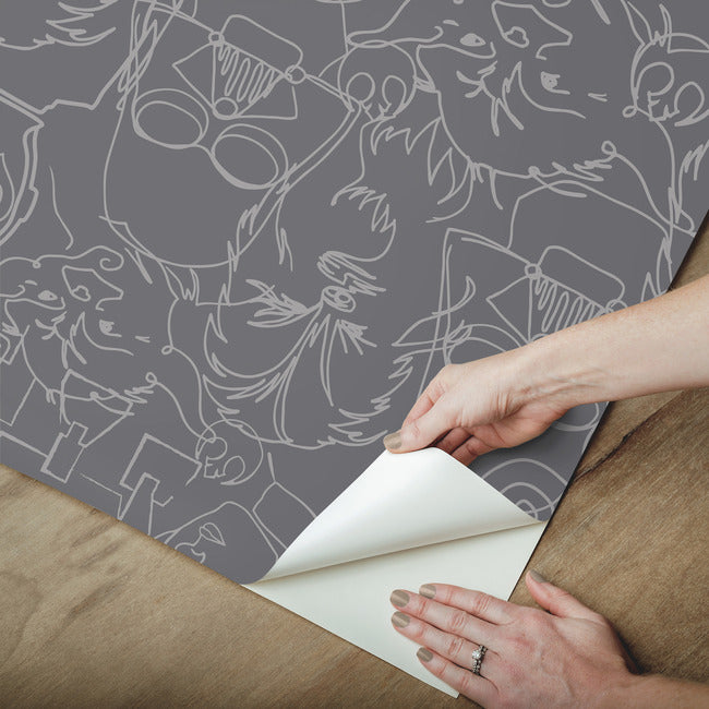 Star Wars Saga Line Sketches Peel And Stick Wallpaper Peel and Stick Wallpaper RoomMates   