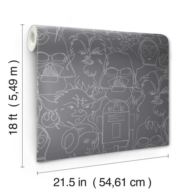 Star Wars Saga Line Sketches Peel And Stick Wallpaper Peel and Stick Wallpaper RoomMates   