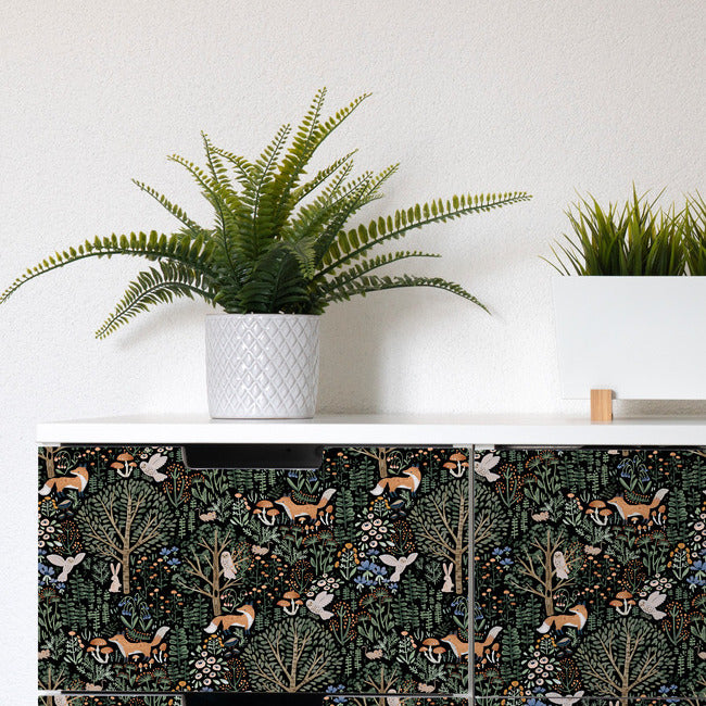 Clara Jean Folklore Forest Peel and Stick Wallpaper Peel and Stick Wallpaper RoomMates   