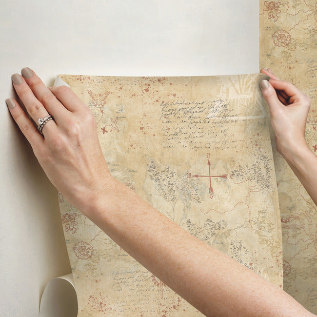 Game Of Thrones Map Peel & Stick Wallpaper Peel and Stick Wallpaper RoomMates   