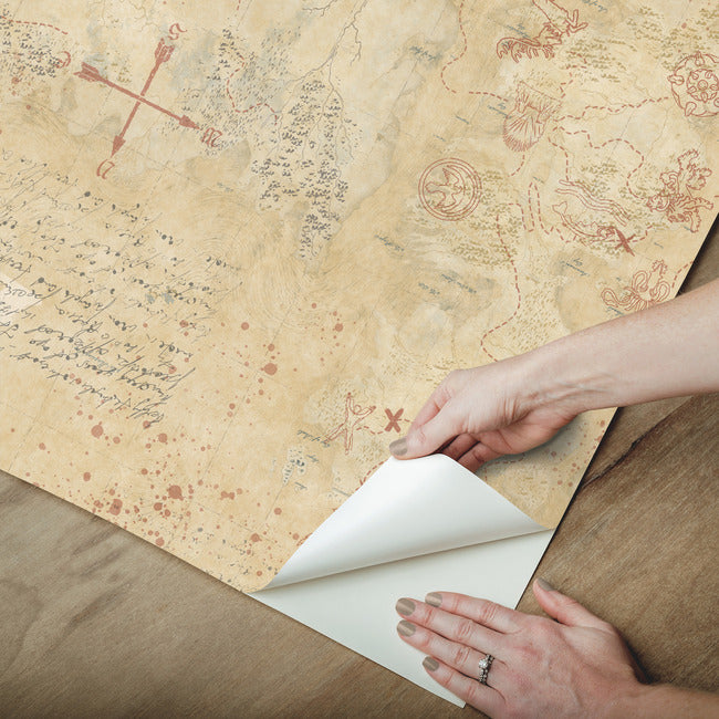 Game Of Thrones Map Peel & Stick Wallpaper Peel and Stick Wallpaper RoomMates   