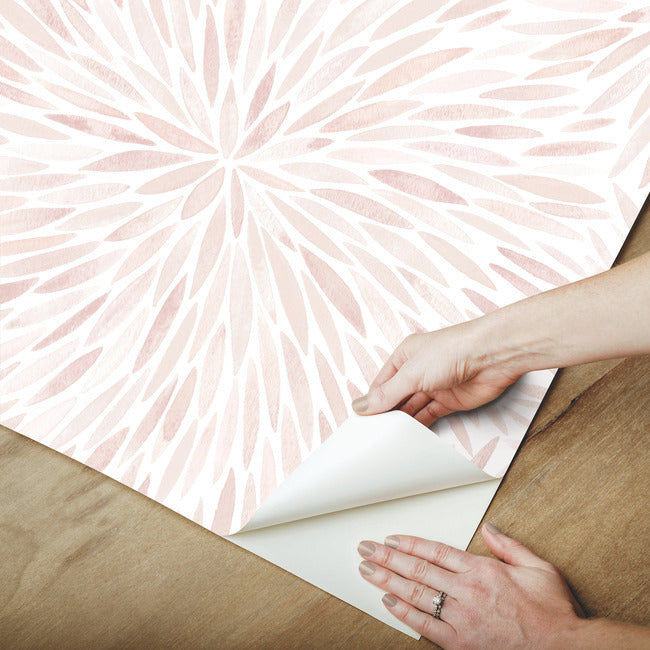 Cat Coquillette Burst Peel & Stick Wallpaper Peel and Stick Wallpaper RoomMates   