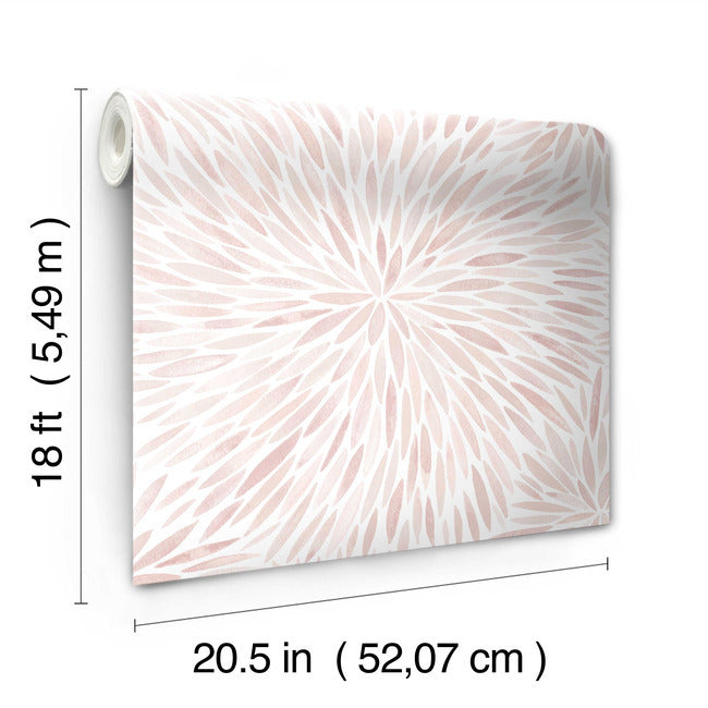 Cat Coquillette Burst Peel & Stick Wallpaper Peel and Stick Wallpaper RoomMates   