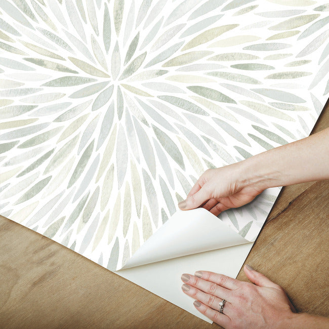 Cat Coquillette Burst Peel & Stick Wallpaper Peel and Stick Wallpaper RoomMates   