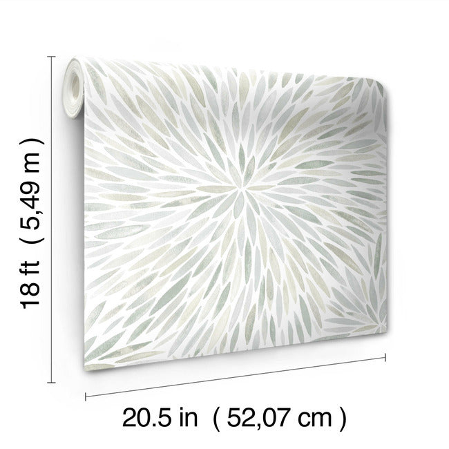 Cat Coquillette Burst Peel & Stick Wallpaper Peel and Stick Wallpaper RoomMates   