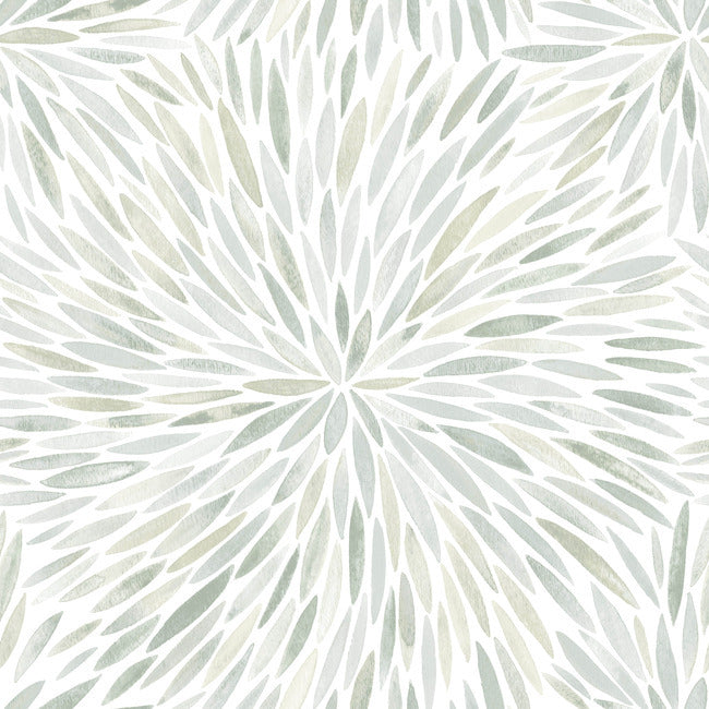 Cat Coquillette Burst Peel & Stick Wallpaper Peel and Stick Wallpaper RoomMates Roll Green 