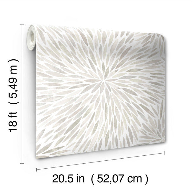 Cat Coquillette Burst Peel & Stick Wallpaper Peel and Stick Wallpaper RoomMates   