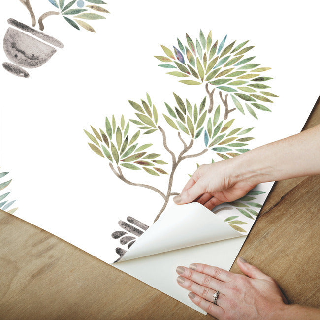 Cat Coquillette Bonsai Peel & Stick Wallpaper Peel and Stick Wallpaper RoomMates   