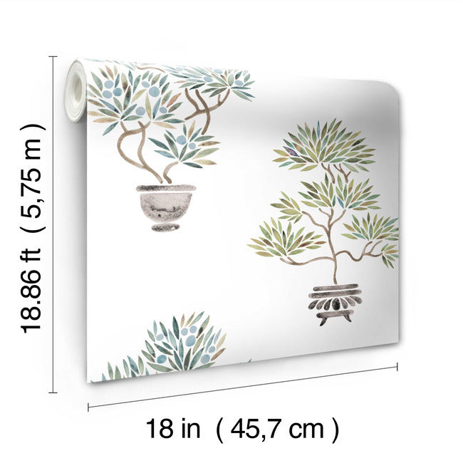 Cat Coquillette Bonsai Peel & Stick Wallpaper Peel and Stick Wallpaper RoomMates   