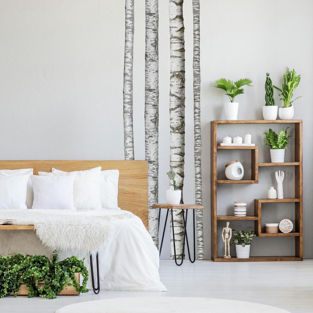 Realistic Birch Trees Peel and Stick Giant Wall Decals Wall Decals RoomMates   