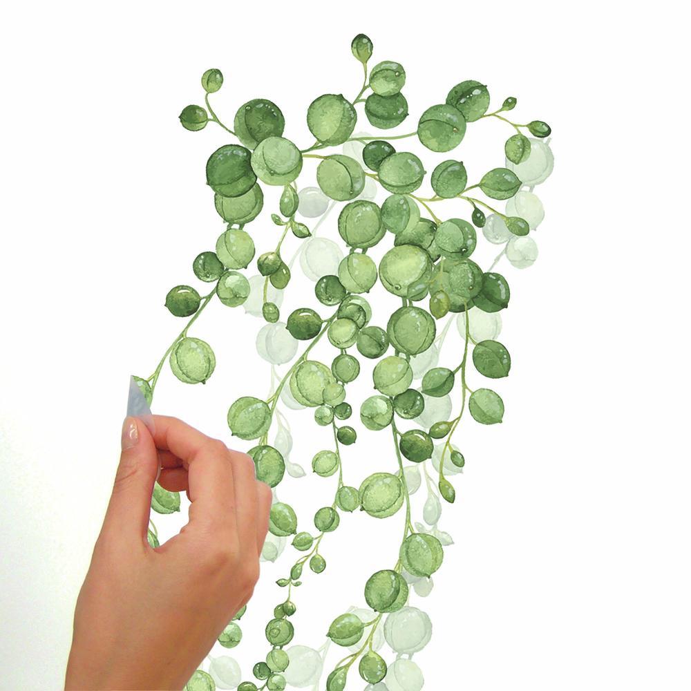 String of Pearls Vine Peel and Stick Wall Decals Wall Decals RoomMates   