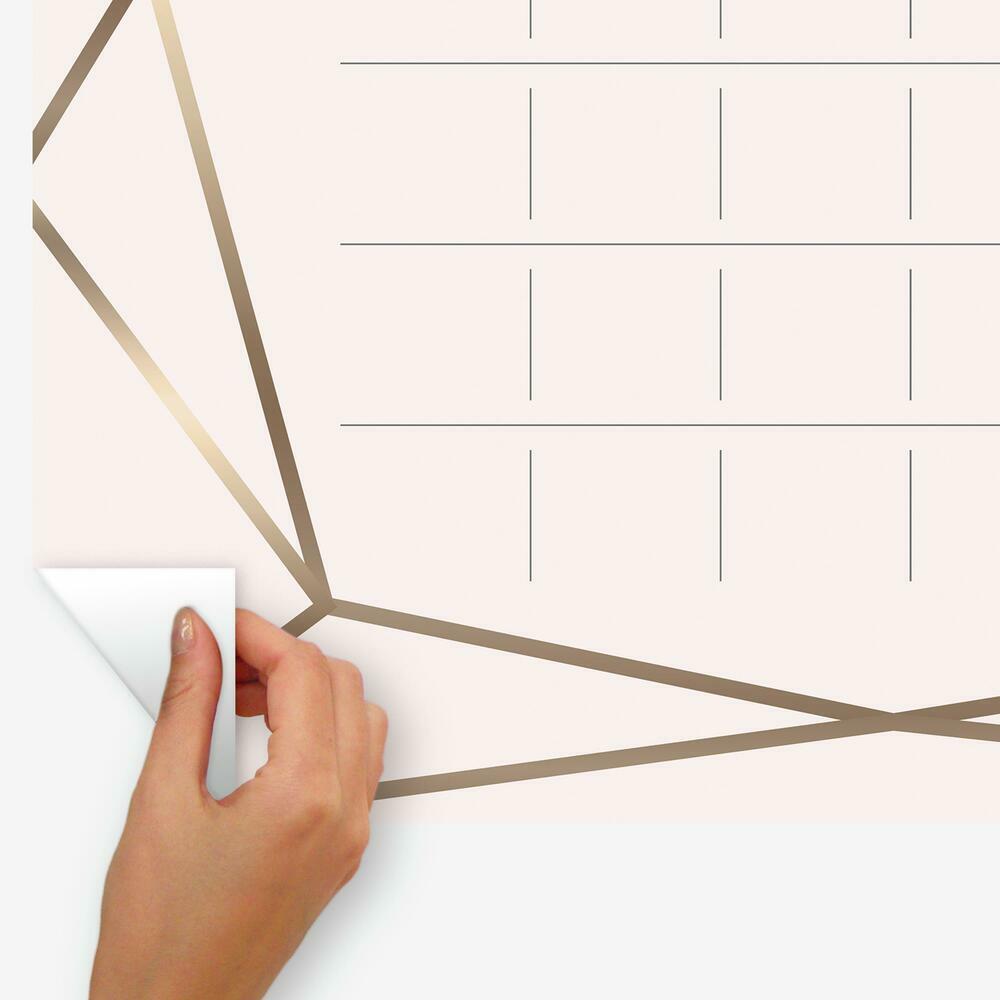 Blush Beauty Dry Erase Calendar Peel and Stick Giant Wall Decal Wall Decals RoomMates   