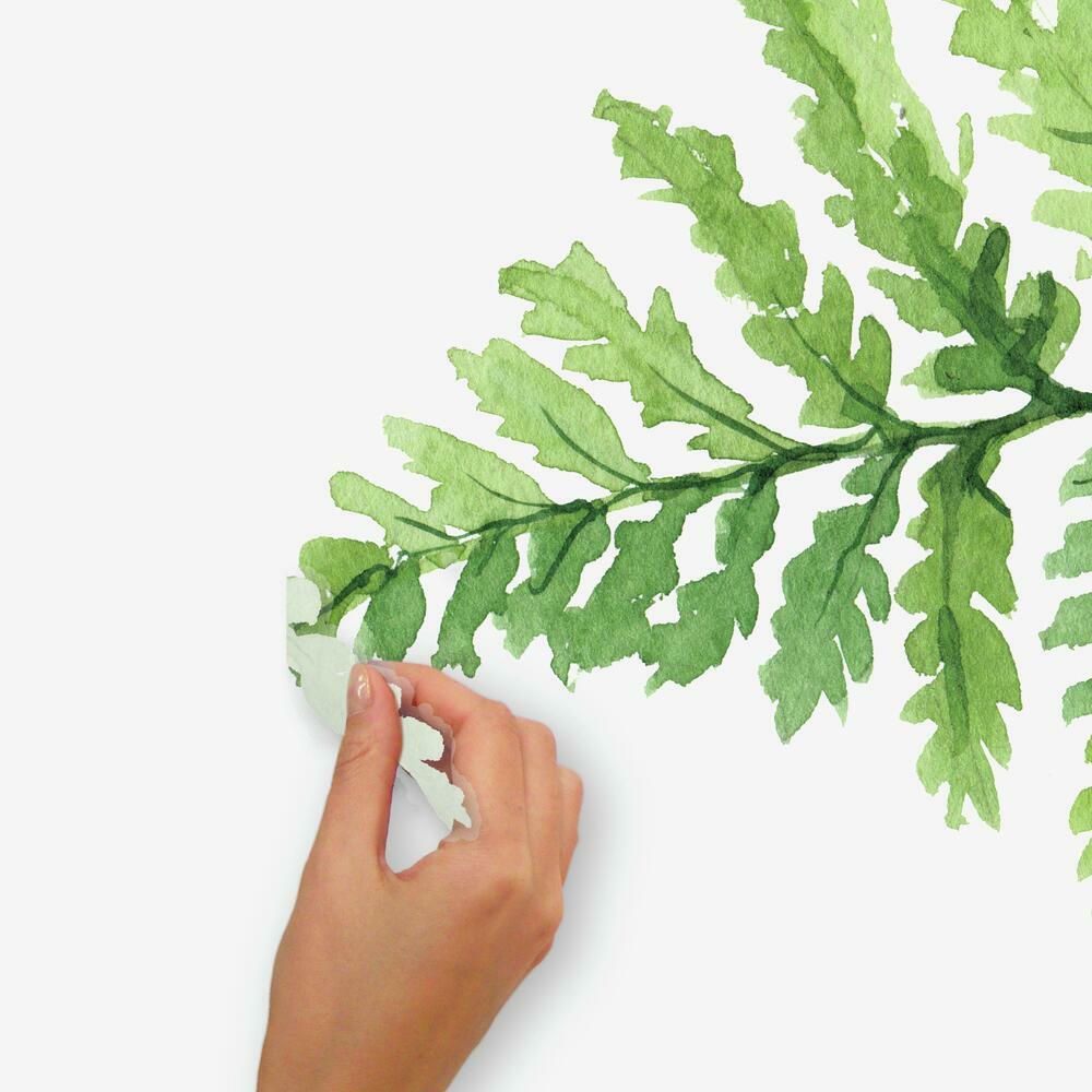 Watercolor Fern Peel and Stick Giant Wall Decals Wall Decals RoomMates   