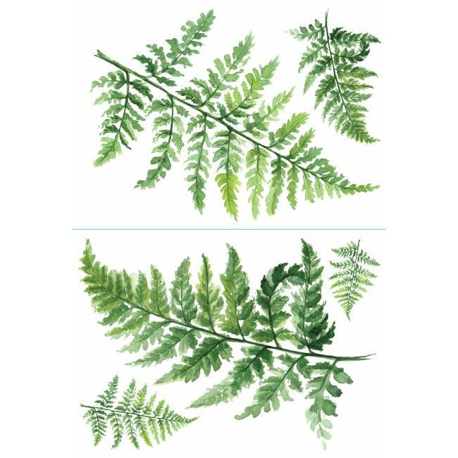 Watercolor Fern Peel and Stick Giant Wall Decals Wall Decals RoomMates   