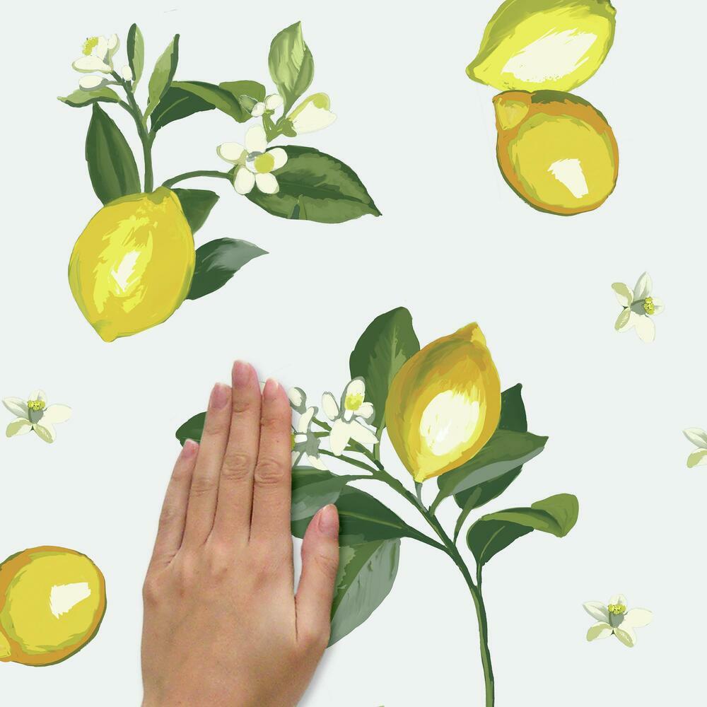 Lemon Peel and Stick Wall Decals Wall Decals RoomMates   