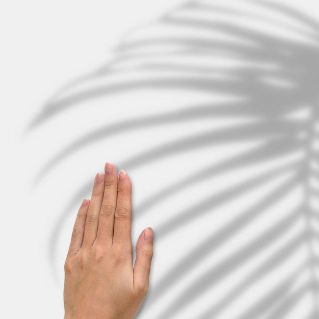 Mr. Kate Tropical Shadow Palm Frond Peel And Stick Wall Decals Wall Decals RoomMates   