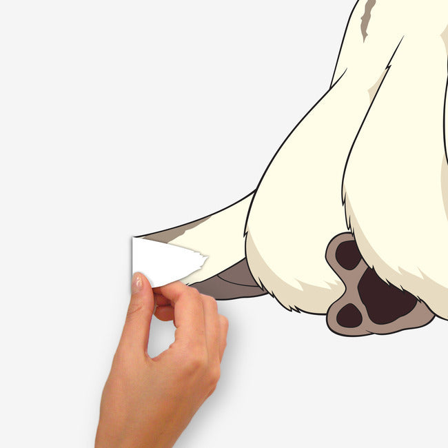 Avatar Appa Giant Peel & Stick Wall Decals Wall Decals RoomMates   