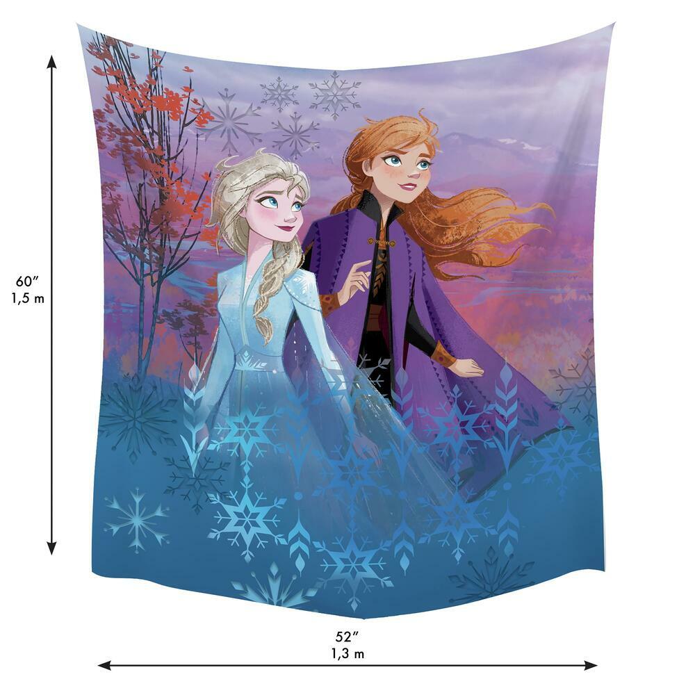 Disney Frozen II Destiny Awaits Tapestry Tapestry RoomMates   