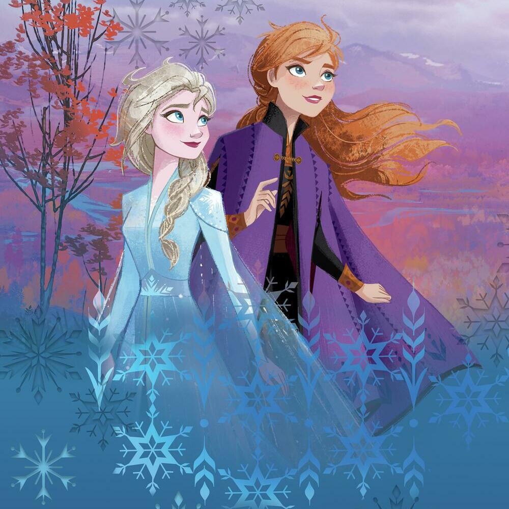 Disney Frozen II Destiny Awaits Tapestry Tapestry RoomMates   