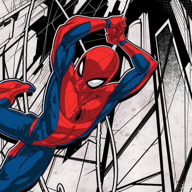 Spider-Man Tapestry Tapestry RoomMates   